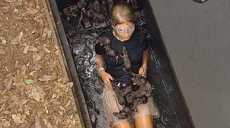 I'm a Celebrity...Get Me Out of Here! Сезон 3