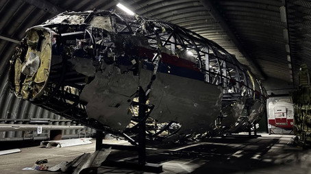 Murder in the Skies: Who Downed Mh17? Сезон 1