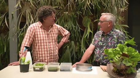 Episode 12 Chickens, Ferns, Bougainvillea & Vegan (2022) - Episode 12 poster and promotional image