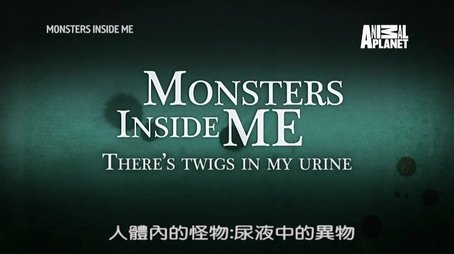 There Are Twigs In My Urine (2017) - Episode 12 poster and promotional image