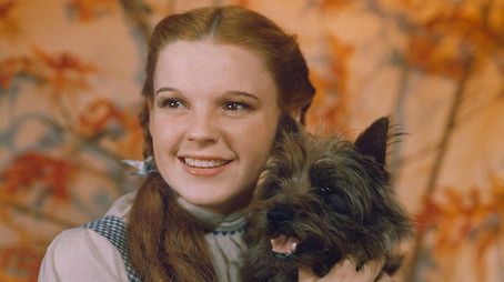 The Wizard of Oz (2022) - Episode 1 poster and promotional image