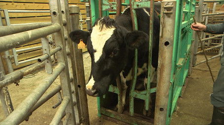 Episode 7 (2017) - Episode 7 poster and promotional image