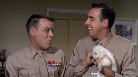 Cold Nose, Warm Heart (1966) - Episode 11 poster and promotional image