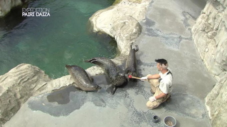 Expédition Pairi Daiza Сезон 1
