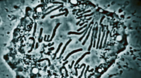 Genetics (2020) - Episode 10 poster and promotional image