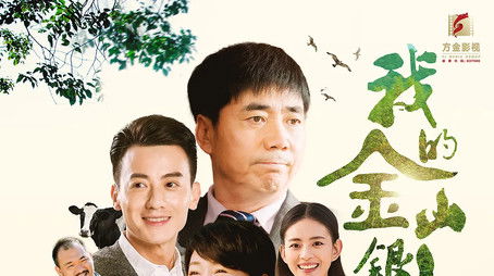 我的金山银山 (2020) poster