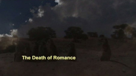 Meerkat Manor Évad 3