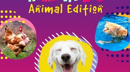 America's Funniest Home Videos: Animal Edition (2021) poster
