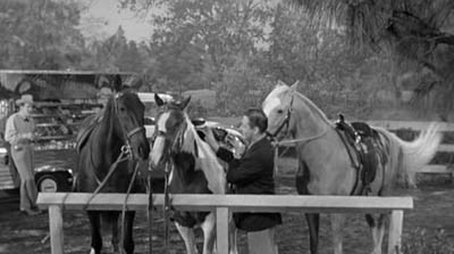 Mister Ed's Blues (1961) - Episode 8 poster and promotional image