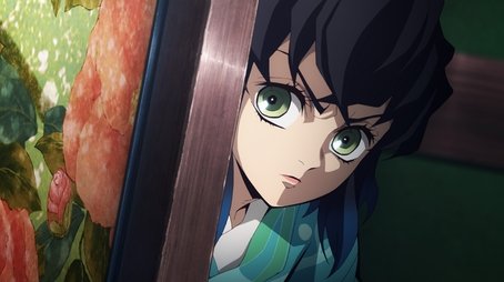 Demon Slayer: Kimetsu no Yaiba33