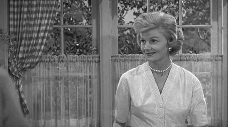 Beaver Goes in Business (1961) - Episode 36 poster and promotional image