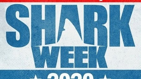 2020 (2020) - Season 33 poster and promotional image