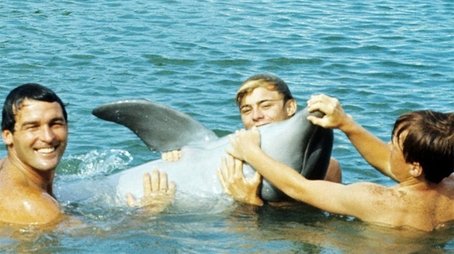 Flipper (1964) poster
