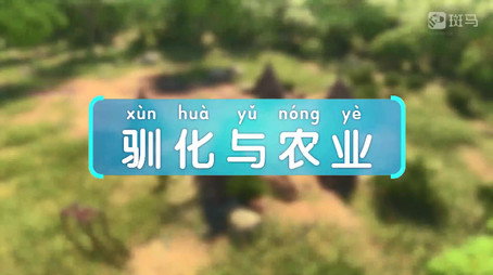 斑马百科 Сезон 23