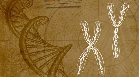 Inner Evolution Évad 1