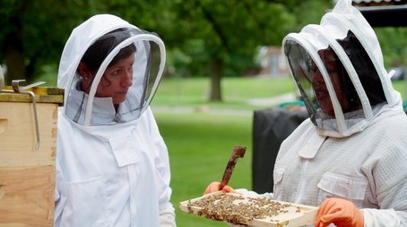 Beehives 101, Step Stool (2025) - Episode 13 poster and promotional image