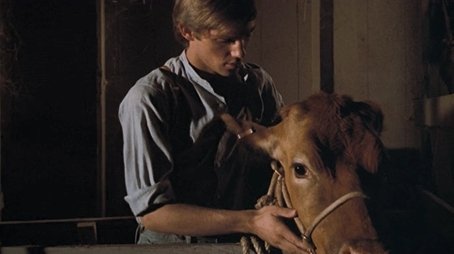 The Calf (1972) - Episode 3 poster and promotional image