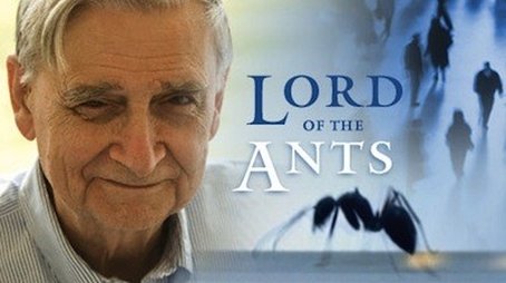 Lord of the Ants (2008) - Episode 17 poster and promotional image