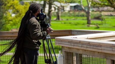 Animal Park Stagione 25