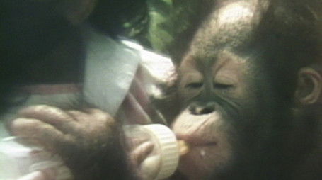 Episode 13 (2020) - Episode 13 poster and promotional image