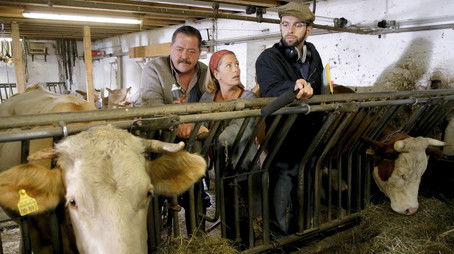 Kuhgebrüll als Alibi (2009) - Episode 23 poster and promotional image