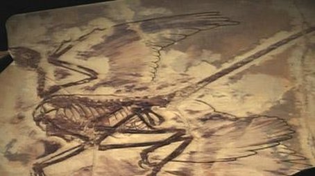 The Four Winged Dinosaur (2008) - Episode 13 poster and promotional image
