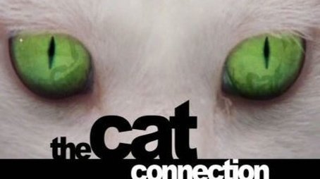 The Cat Connection (2002) - Episode 14 poster and promotional image