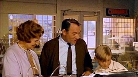 Hazel Needs a Car (1965) - Episode 7 poster and promotional image