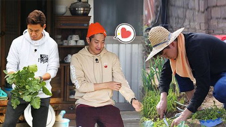 삼시세끼 어촌편 시즌 3