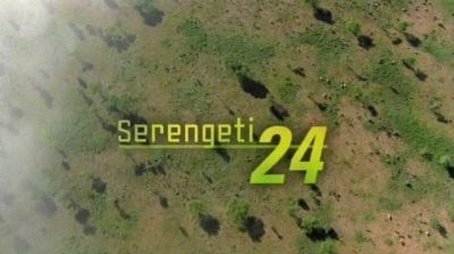 Serengeti 24 (2005) - Episode 11 poster and promotional image