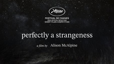 Perfectly A Strangeness (2024) poster