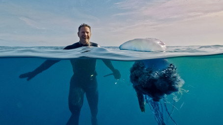 Halálos ragadozók Évad 1