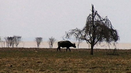 Episode 24 (2002) - Episode 24 poster and promotional image