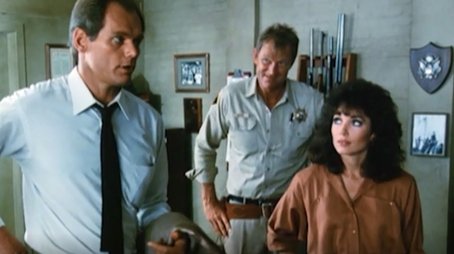 A Long Way From L.A. (1984) - Episode 4 poster and promotional image