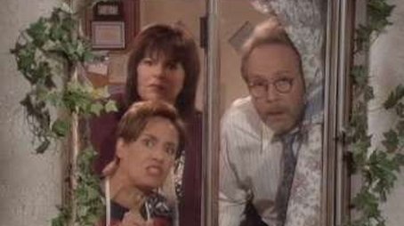 Roseanne in the Hood (1995) - Episode 3 poster and promotional image