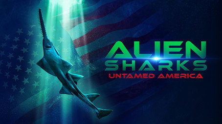 Shark Week Сезон 39
