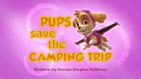 Pups Save the Camping Trip (2014) - Episode 46 poster and promotional image