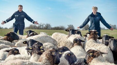 Episode 14 (2020) - Episode 14 poster and promotional image