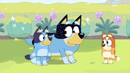 Bluey312
