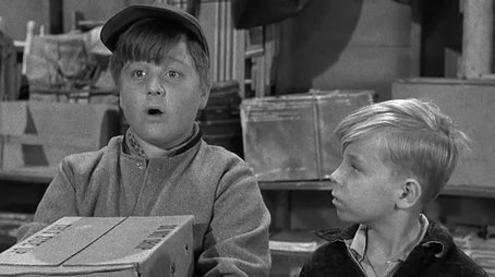 Beaver's Pigeons (1959) - Episode 20 poster and promotional image