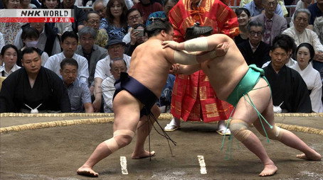 GRAND SUMO Highlights Сезон 35