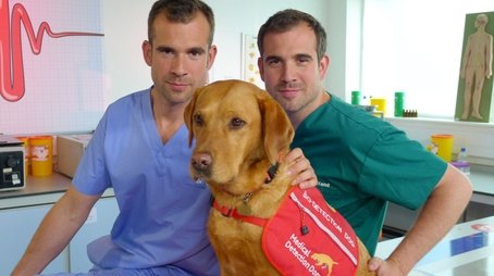The Dog Who Saves Lives (2013) - Episode 9 poster and promotional image