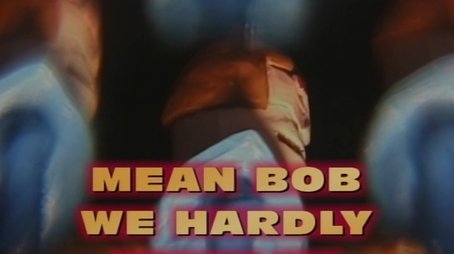 Mean Bob, We Hardly Knew Ye (2002) - Episode 15 poster and promotional image