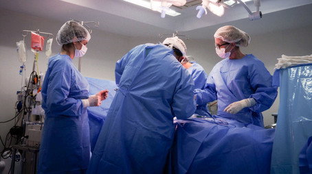 Operação Transplante Сезон 1