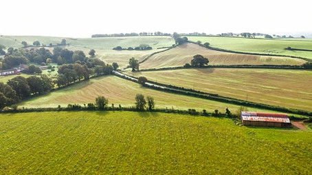 Plant Britain (2021) - Episode 45 poster and promotional image