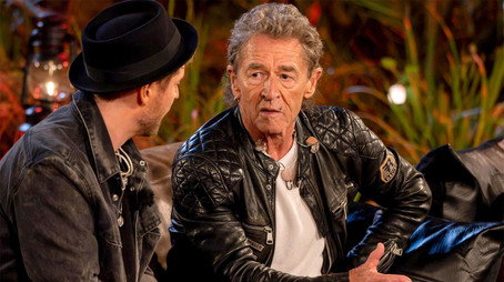 Sing meinen Song – Das Tauschkonzert Sezóna 11