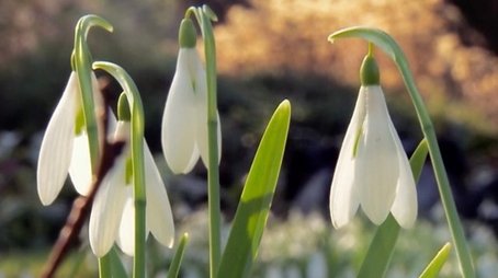 Snowdrops (2024) - Episode 7 poster and promotional image