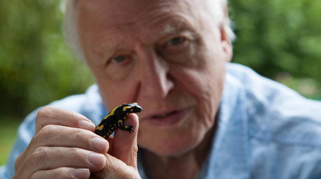 David Attenborough's Natural Curiosities Сезон 3