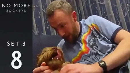 Set 3, Game 8 (2021) - Episode 8 poster and promotional image