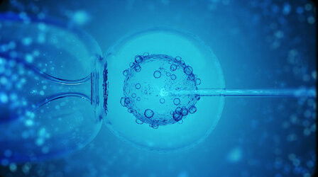 IVF (2022) - Episode 9 poster and promotional image